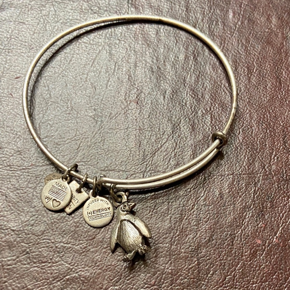 Alex and Ani Penguin Bangle Bracelet